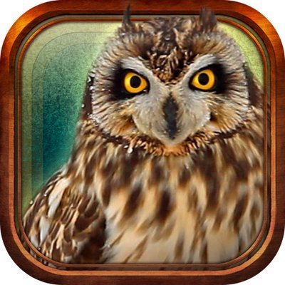 BirdsCollection.jpg