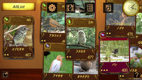 BirdsCollection1.jpeg