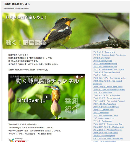 birdsait1.jpg